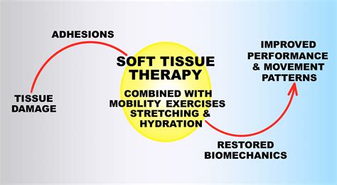 soft tissue therapist jobs